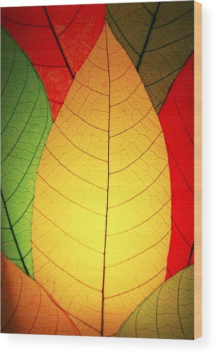 Celebrate Wood Print featuring the photograph Celebrate Fall by Marilyn Hunt