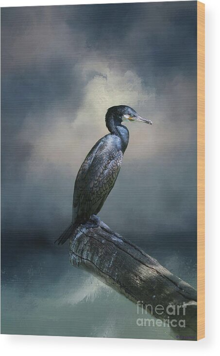 Great Cormorant Wood Print featuring the photograph Cormorant Meditation by Eva Lechner