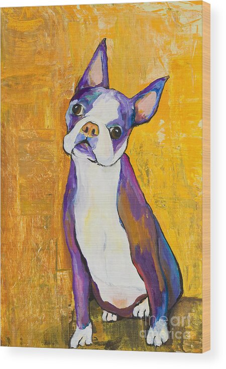 Boston Terrier Animals Acrylic Dog Portraits Pet Portraits Animal Portraits Pat Saunders-white Wood Print featuring the painting Cosmo by Pat Saunders-White