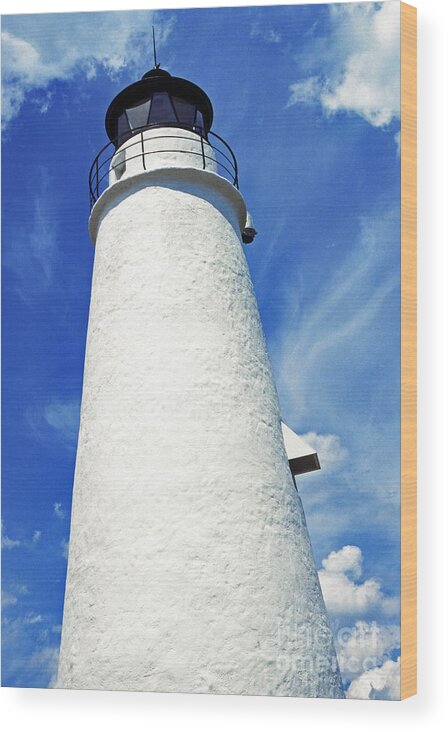Cove Point Lighthouse Wood Print featuring the photograph Cove Point Lighthouse by Thomas R Fletcher