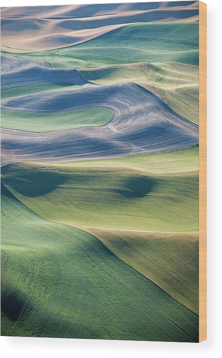 Aerial Wood Print featuring the photograph Crops and Contours by Doug Davidson