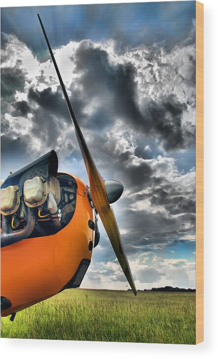 Cub Wood Print featuring the photograph Cub Prop by Steven Richardson