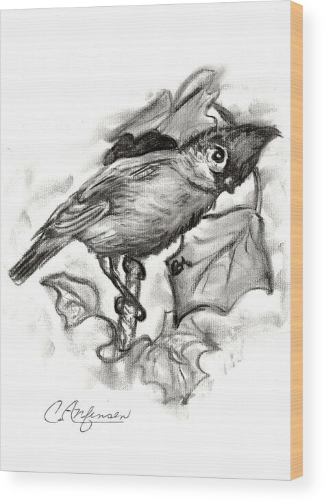 Birds Wood Print featuring the drawing Curious titmouse by Carol Allen Anfinsen