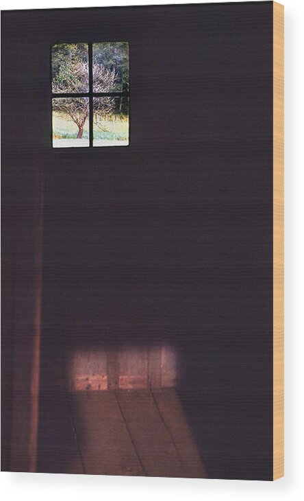 Cabin Wood Print featuring the photograph Dark Cabin Window by Ted Keller