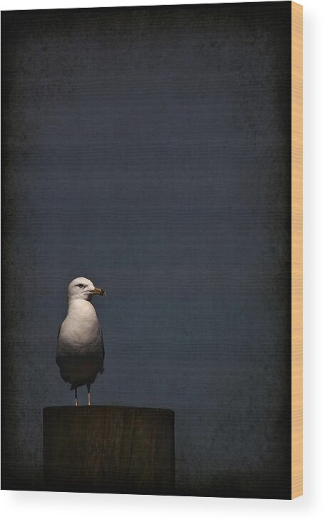 Gull Wood Print featuring the photograph Darkness Falls by Evelina Kremsdorf