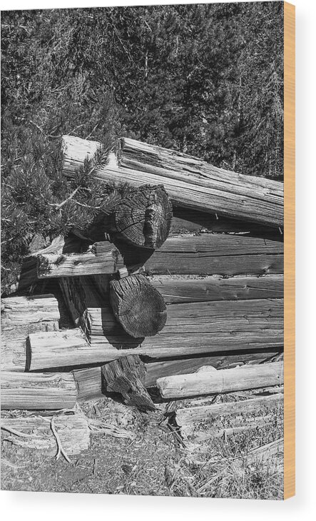 Ruins Wood Print featuring the photograph DDP DJD B and W 1880s Log Cabin Ruins Montana 2 by David Drew