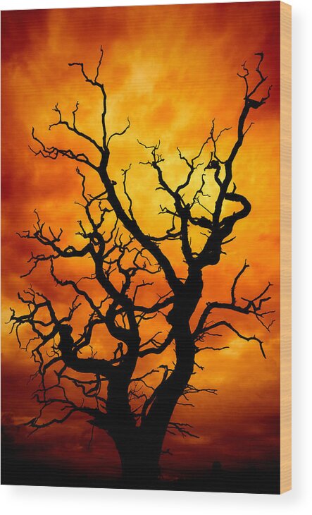 Atmosphere Wood Print featuring the photograph Dead Tree by Meirion Matthias