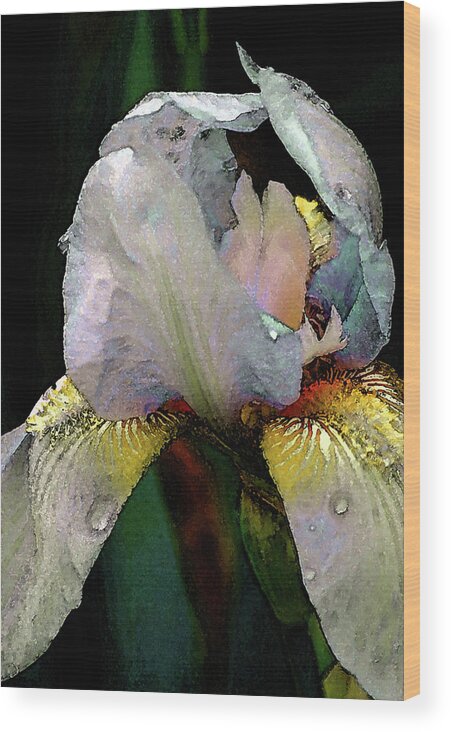 Digital Painting Wood Print featuring the photograph Digital Painting White Iris 9932 DP_2 by Steven Ward