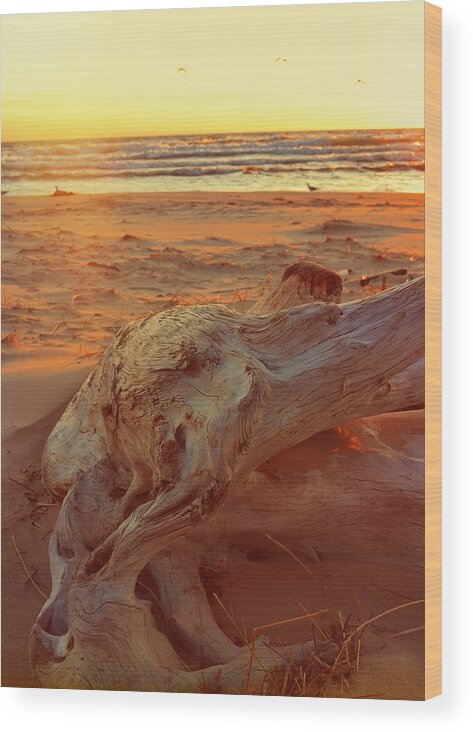 Sunset Wood Print featuring the photograph Driftwood at Sunset by Michelle Calkins