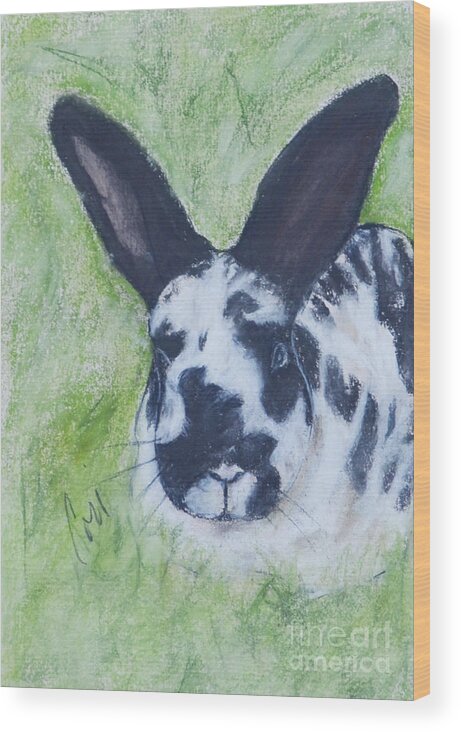 Bunny Wood Print featuring the drawing Ears to Us by Cori Solomon