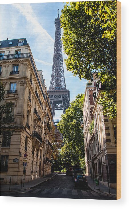 Eiffel Tower Wood Print featuring the photograph Eiffel Tower by Lev Kaytsner