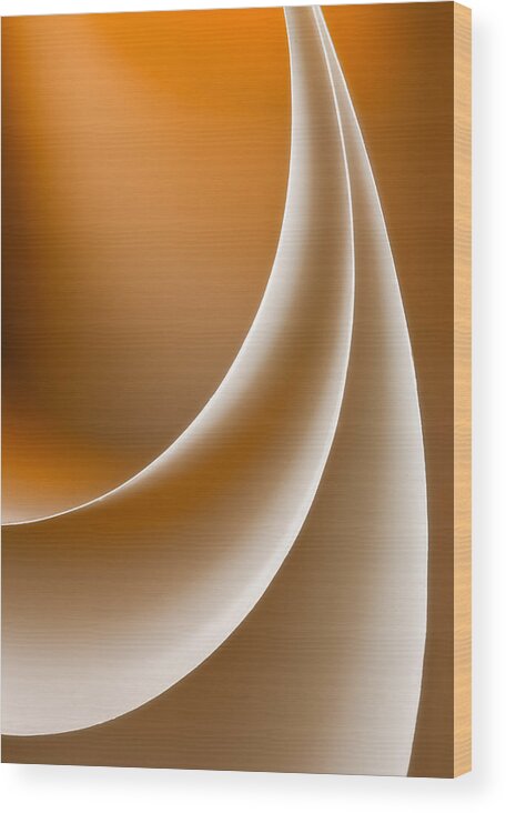 Abstract Wood Print featuring the photograph Elegance by Nilesh Bhange