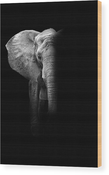 Elephant Wood Print featuring the photograph Elephant by Deborah Penland