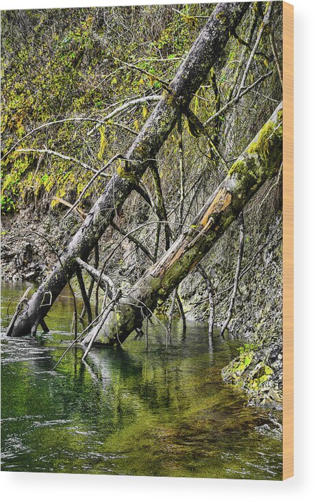 Riverscape Wood Print featuring the photograph Fallen Friends by Jason Brooks