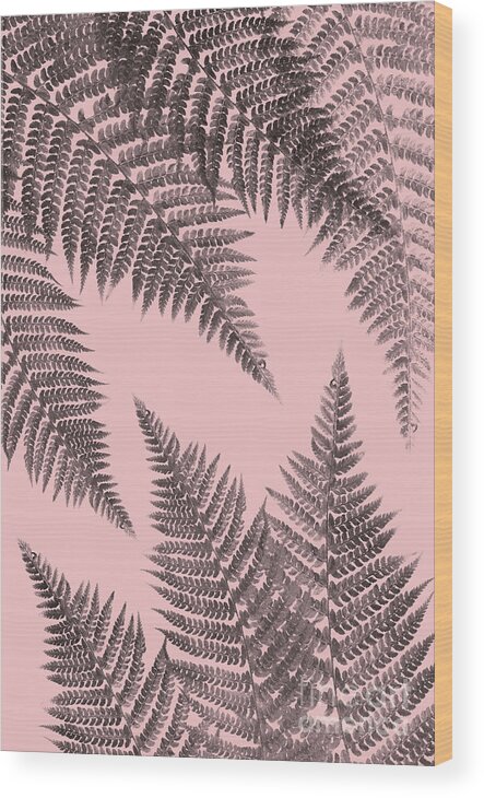 Fern Wood Print featuring the mixed media Ferns on Blush by Emanuela Carratoni
