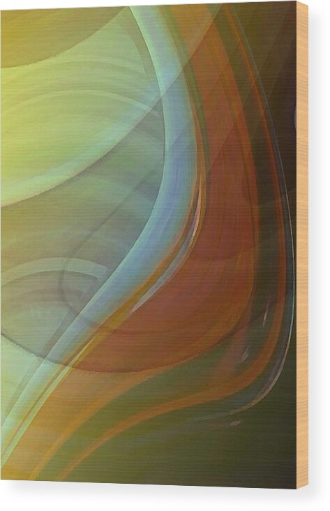 Agate Wood Print featuring the digital art Fluidity by David Manlove