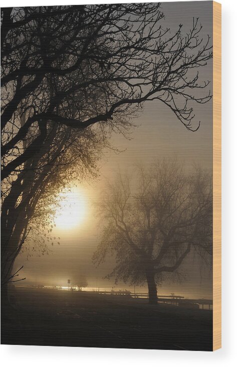 Foggy Wood Print featuring the photograph Foggy Morn by Tim Nyberg