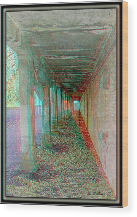 3d Wood Print featuring the photograph Ft. Howard Pk- Tunnel Effect - Use Red-Cyan 3D Glasses by Brian Wallace