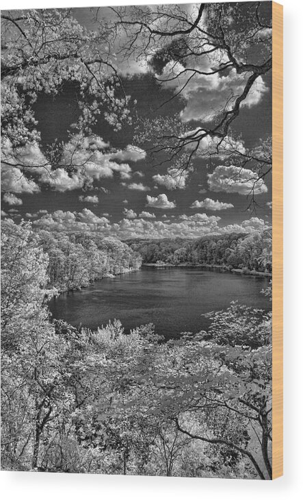 Infrared Wood Print featuring the photograph Glacier Lake by Michael McGowan