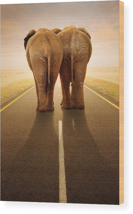 Elephant Wood Print featuring the photograph Going away together / travelling by road by Johan Swanepoel