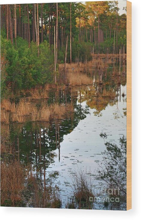 Florida Wood Print featuring the photograph Golden Pond by Lori Mellen-Pagliaro