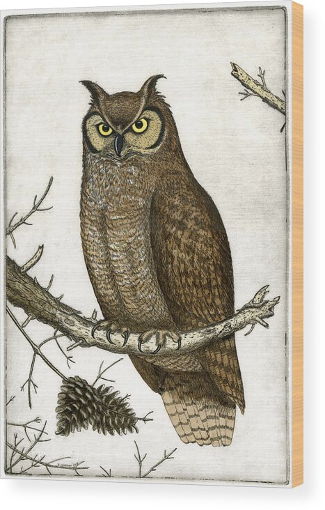 Etching Wood Print featuring the painting Great Horned Owl by Charles Harden