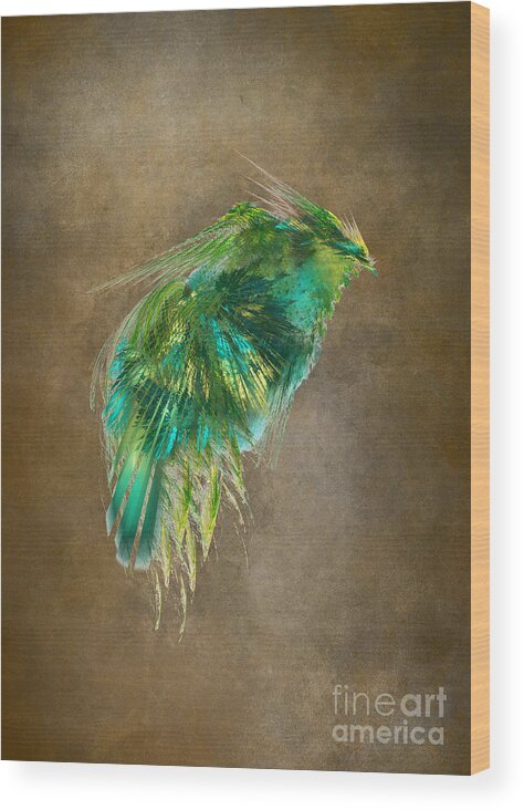 Green Bird Wood Print featuring the digital art Green Bird - Fractal Art by Justyna Jaszke JBJart