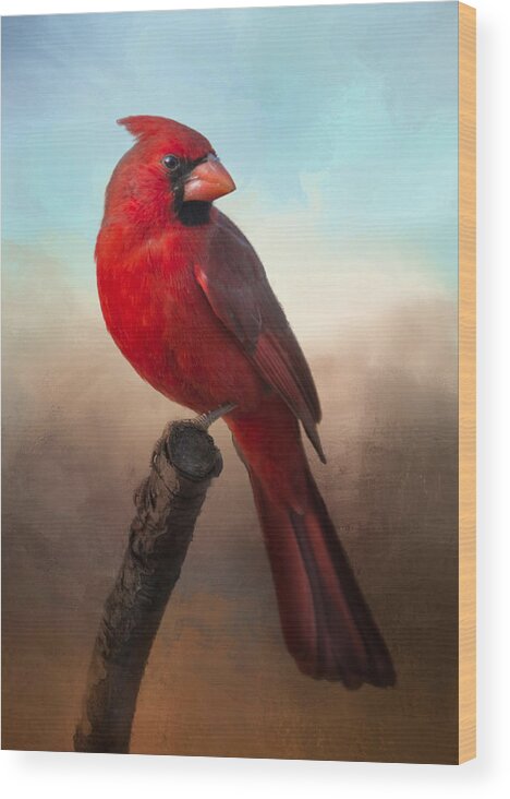 Cardinal Wood Print featuring the photograph Handsome Cardinal by Barbara Manis