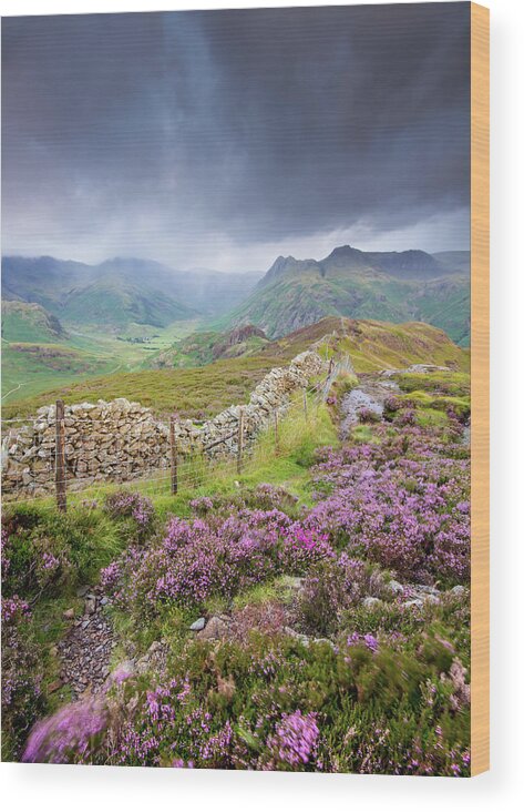 Heather Wood Print featuring the photograph Heather and The Langdale Pikes on a stormy day in the Lake District by Anita Nicholson