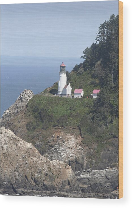 Lighthouse Wood Print featuring the photograph Heceta Head Lighthouse LI 9000 by Mary Gaines
