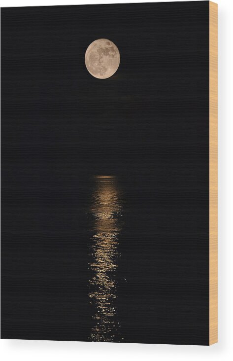 Holiday Magic Wood Print featuring the photograph Holiday Magic - Lunar Art by Jordan Blackstone