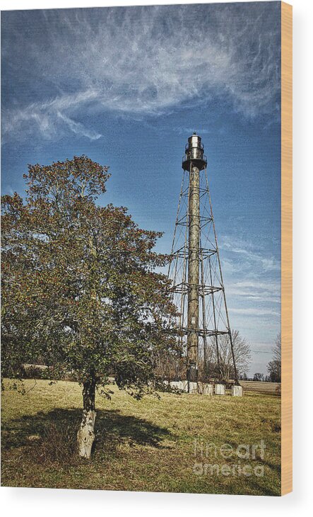 Lighthouses Wood Print featuring the photograph Holly Berries And Lighthouses by Skip Willits