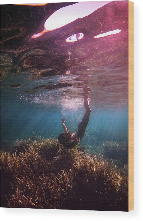 Swim Wood Print featuring the photograph Home by Gemma Silvestre