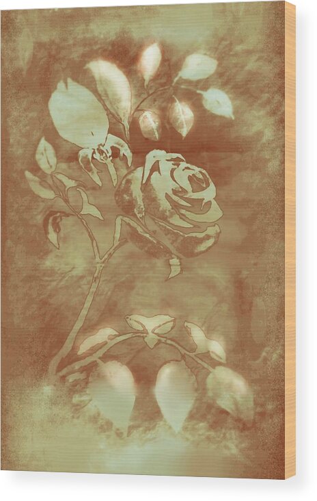 Photograph Wood Print featuring the digital art Honey Rose I by Delynn Addams