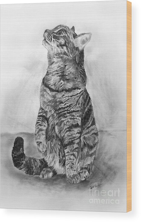 House Cat Wood Print featuring the drawing House Cat by Scott Parker