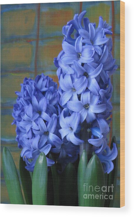 Flower Wood Print featuring the photograph Hyacinths by Patricia Januszkiewicz