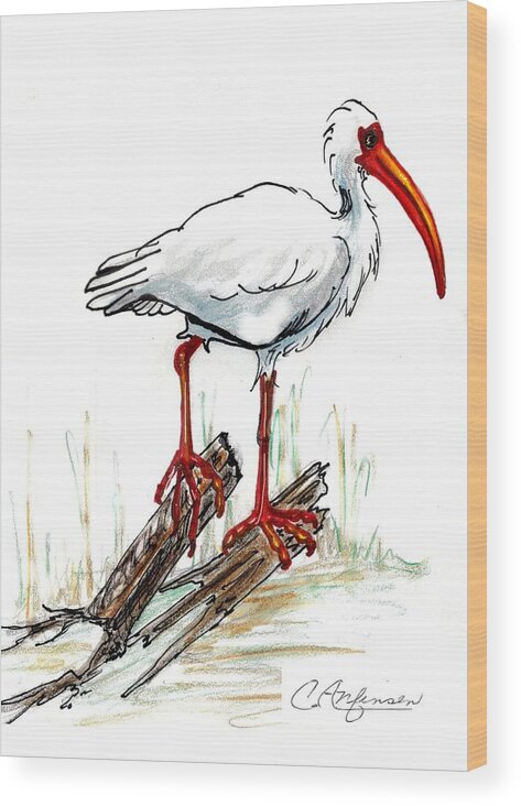 Ibis Wood Print featuring the drawing Ibis on a perch by Carol Allen Anfinsen