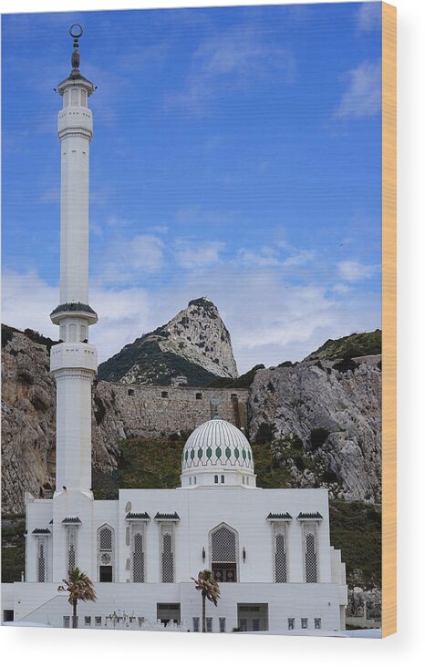Ibrahim-al-ibrahim Mosque Wood Print featuring the photograph Ibrahim-al-ibrahim Mosque by Brooke Bowdren