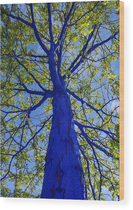 Nature Wood Print featuring the photograph Indigo Tree by Rand Ningali