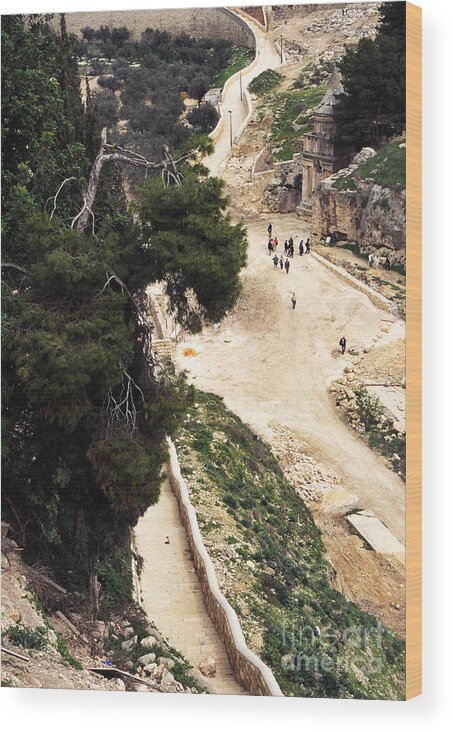Israel Wood Print featuring the photograph Jerusalem Absaloms Pillar by Thomas R Fletcher