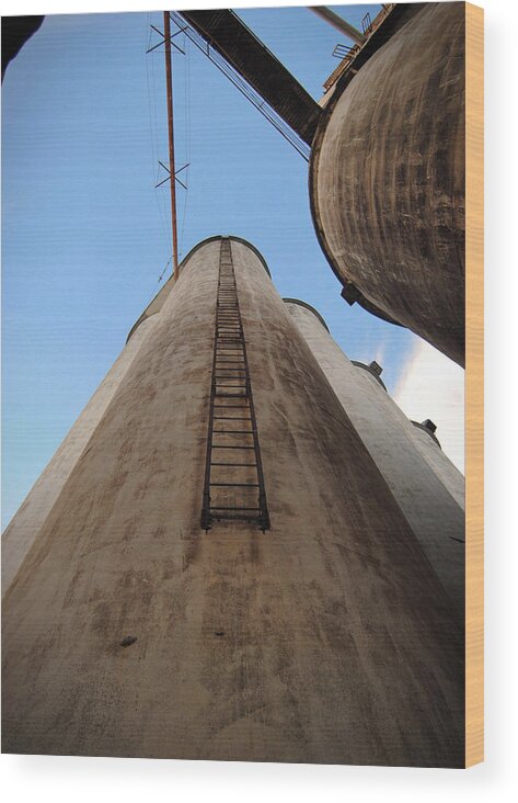 Sunset Wood Print featuring the photograph Katy Silos Ladder by Nathan Little