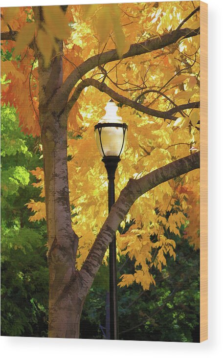 Lamp In Lithia Park Wood Print featuring the photograph Lamp in Lithia Park by Bonnie Follett