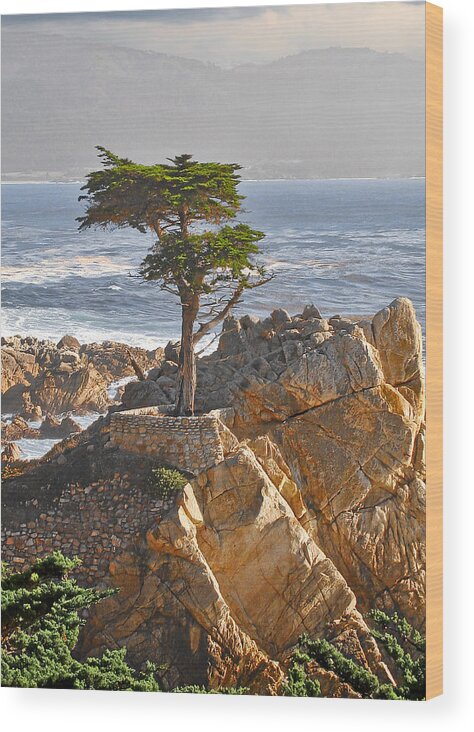 Pine Wood Print featuring the photograph Lone Cypress - The icon of Pebble Beach California by Alexandra Till