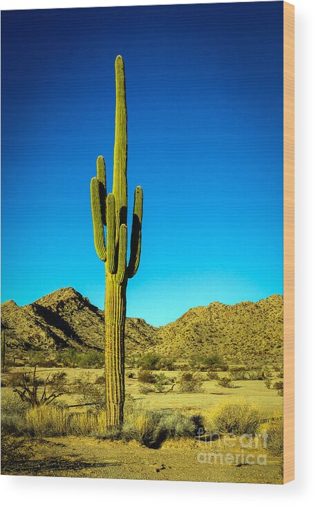 Cactus Wood Print featuring the photograph Lonesome Saguaro by Robert Bales