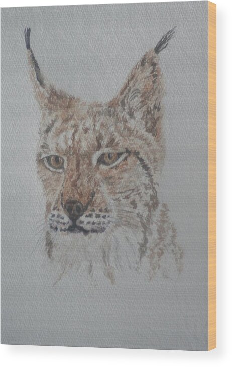 Cushion Wood Print featuring the painting Lynx Portrait by David Capon
