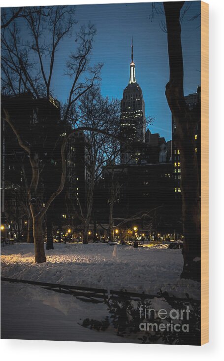 Empire State Wood Print featuring the photograph Madison Square Park and the Empire State by James Aiken