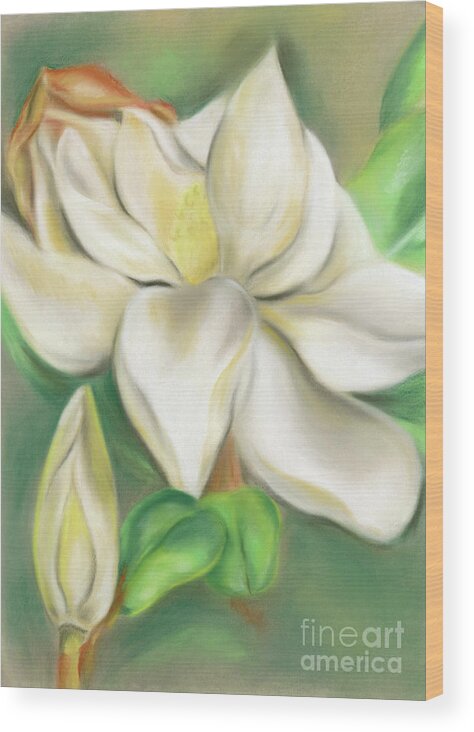Botanical Wood Print featuring the pastel Magnolia Blossom and Bud by MM Anderson