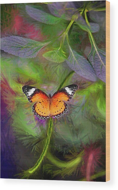 Mixed Media Photo Art. Mixed Media Fine Art Photography. Mixed Media Greeting Cards. Colorado Photography. Landscape Photography. Colorado Fine Art Photography. Wood Print featuring the digital art Malay Lacewing What A Great Place by James Steele