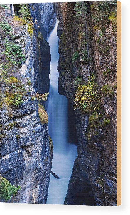 Maligne Canyon Wood Print featuring the photograph Maligne Canyon by Larry Ricker