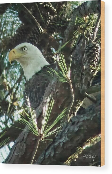 Bald Eagle Wood Print featuring the photograph Mama Eagle by Phill Doherty